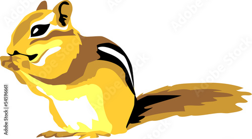 chipmunk
