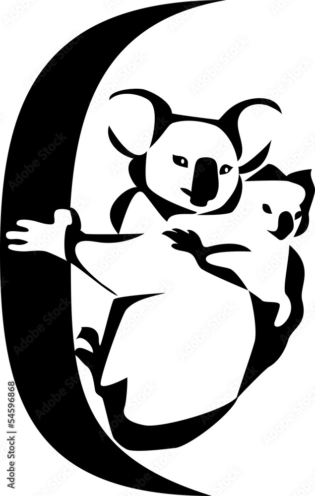 Fototapeta premium koala with young