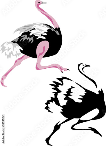 running ostrich