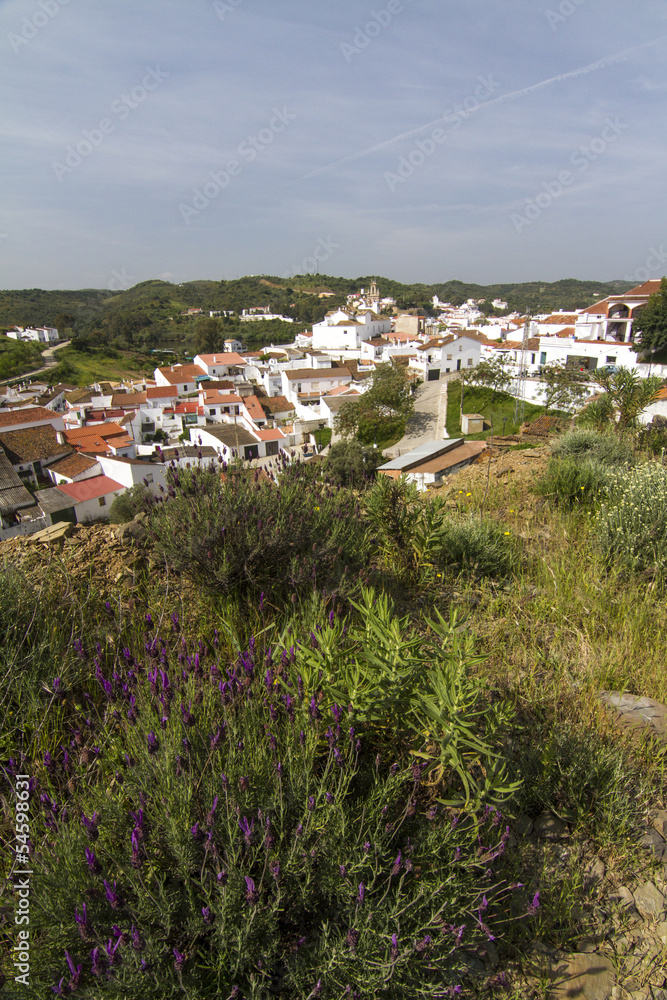 View of the typical houses in spanish Sanlucar town.