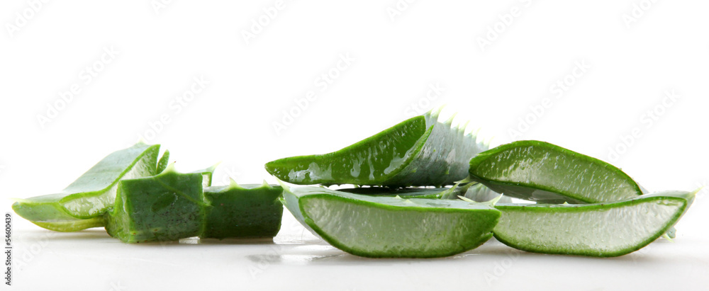 Obraz premium Aloe vera plant isolated on white