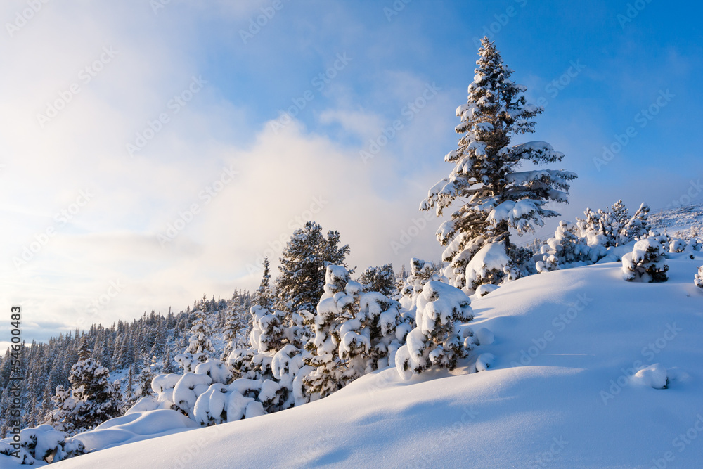 Obraz premium winter in mountains