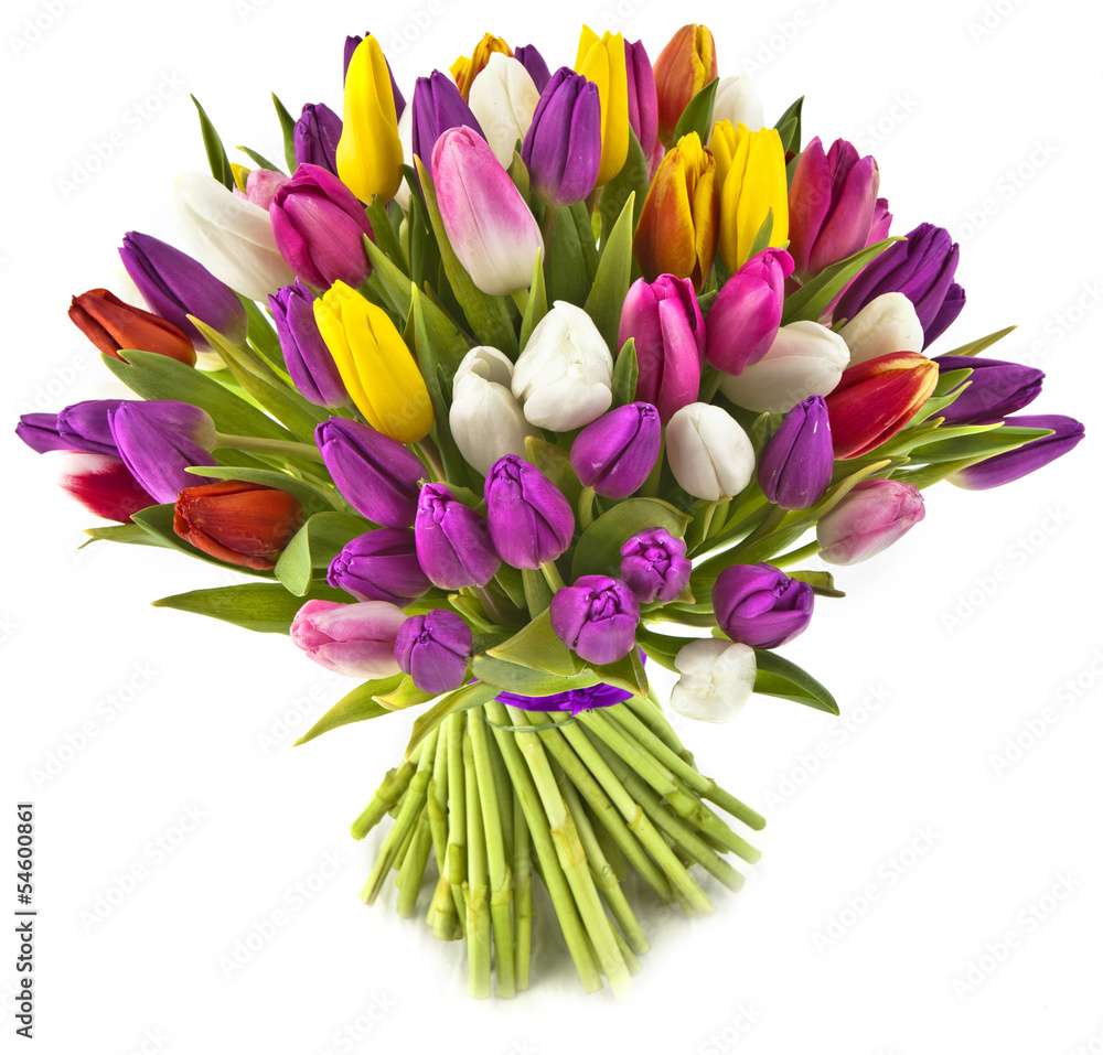 Obraz premium bouquet tulips on white background