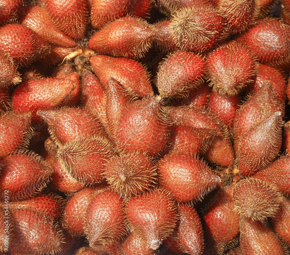 Fototapeta premium Zalacca tropical fruit