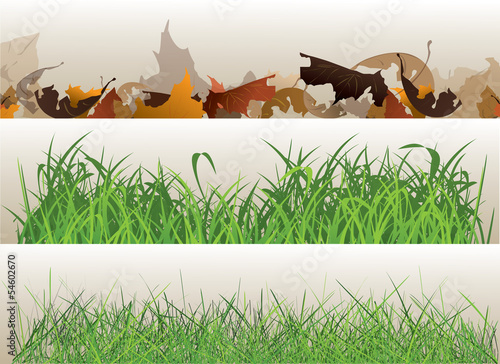Grass