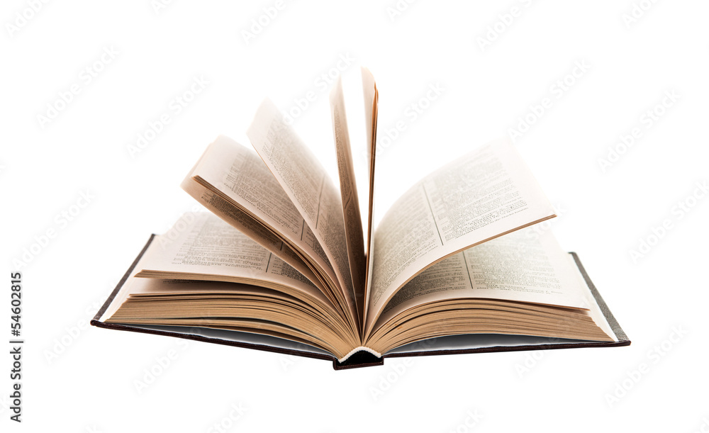open book isolated open book isolated
