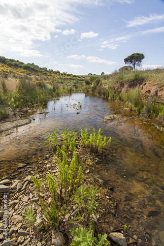 countryside stream of water located in Portugal.