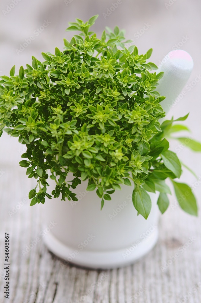 Green basil in mortar on wooden background Green basil in mortar on wooden background