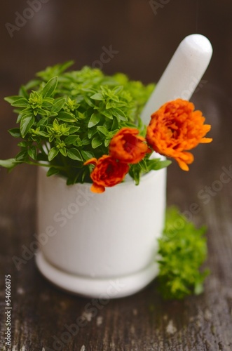 Green basil and Marigold flowers in mortar photo