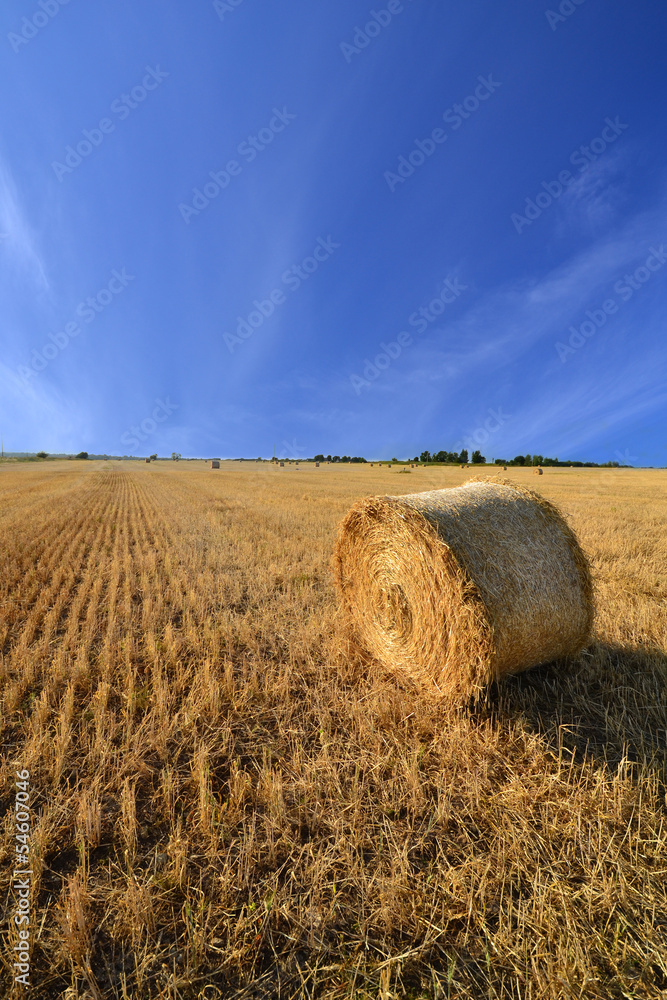 Golden haystack