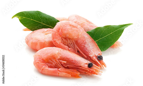 Coldwater shrimps photo