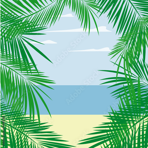 palms beach frame vector