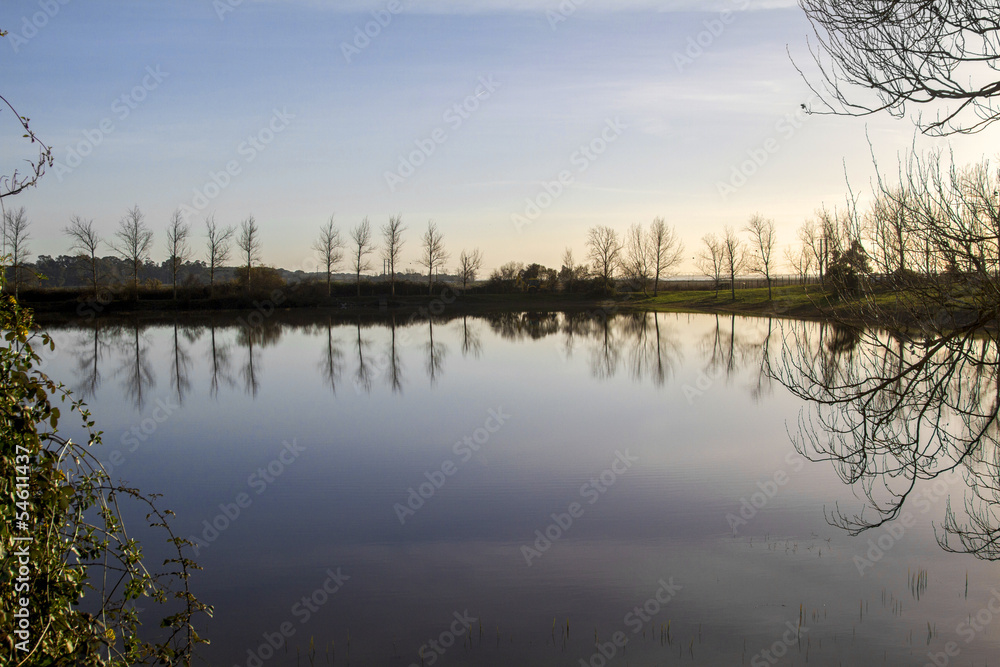 tranquil lake with bare leafless trees