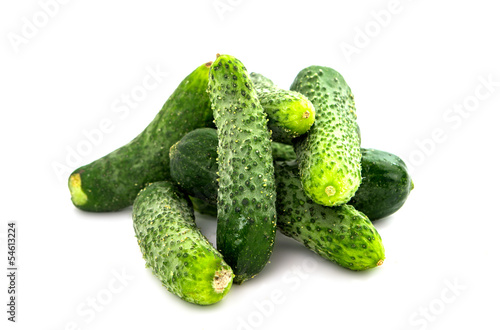 cucumbers for pickling