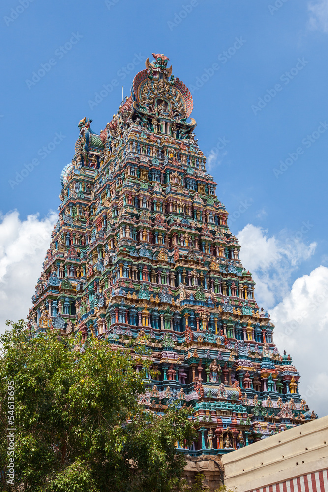 Gopurams of the Meenakshi temple