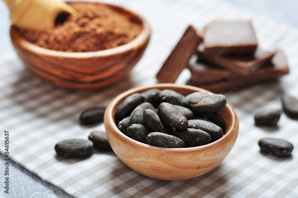 cocoa beans and cocoa powder cocoa beans and cocoa powder