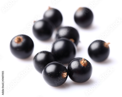 Blackcurrant on a white background