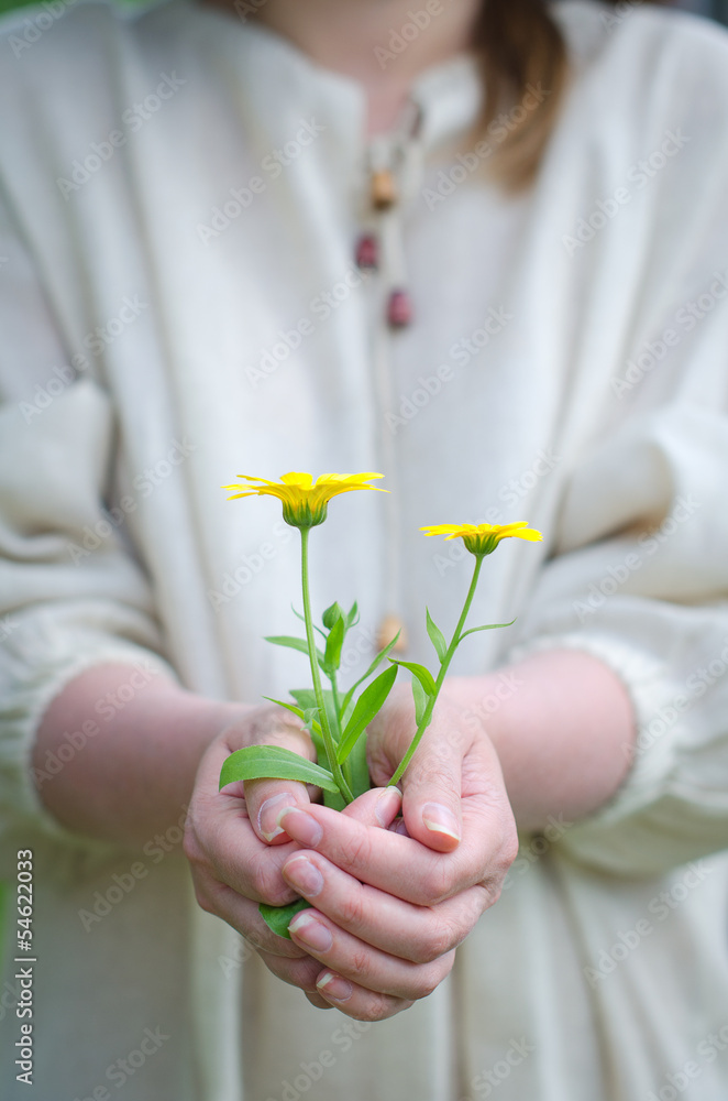 Female hands holding soil with yellow flower Female hands holding soil with yellow flower