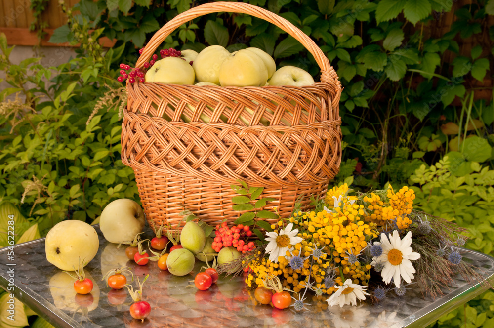basket of white transparent apples with wild flowers bouquet