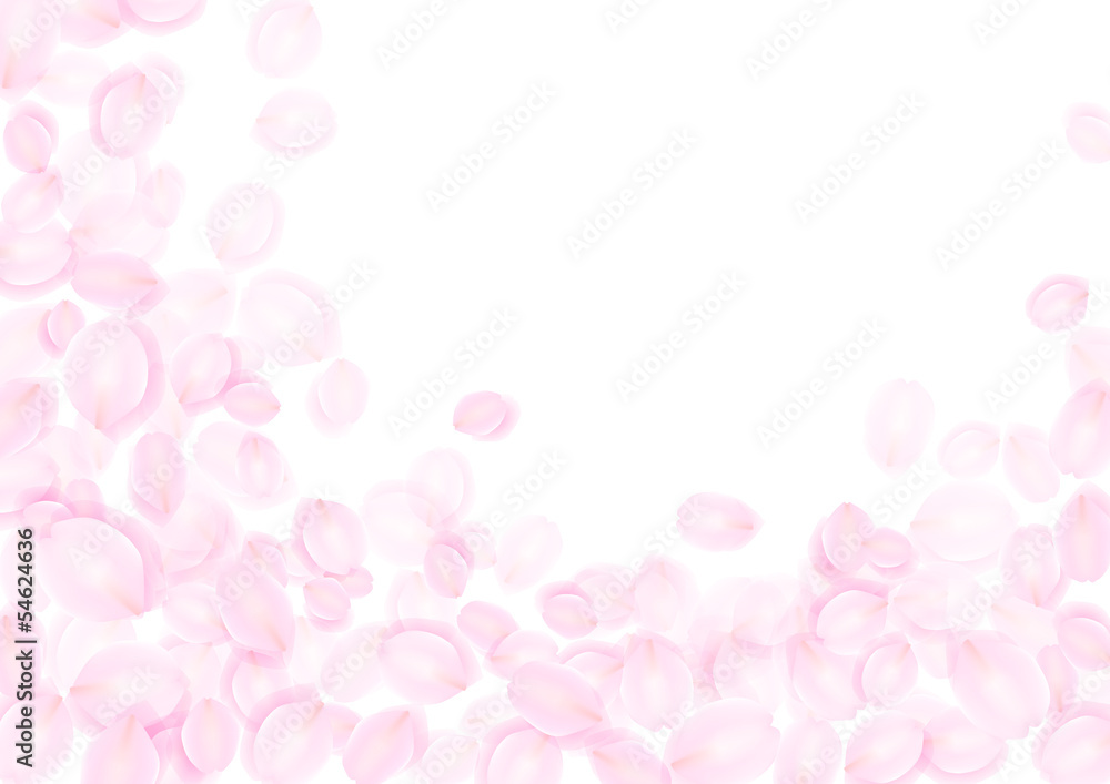 桜色の花びらフレーム