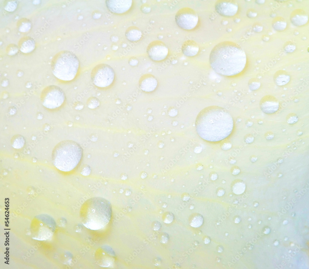 macro water drop on white rose surface macro water drop on white rose surface