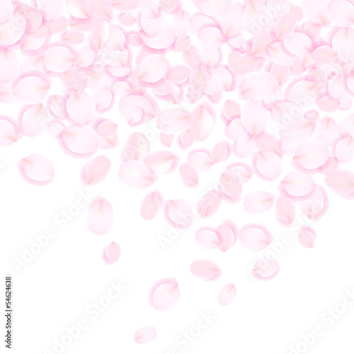 桜色の花びら