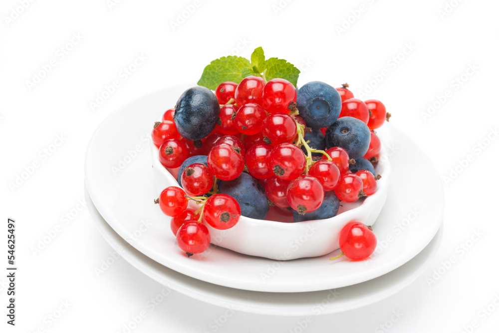 bowl with fresh red currants and blueberries isolated on white bowl with fresh red currants and blueberries isolated on white