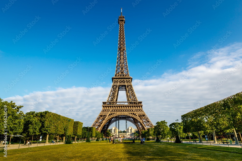 Fototapeta premium Wieża Eiffla i Champ de Mars w Paryżu, Francja