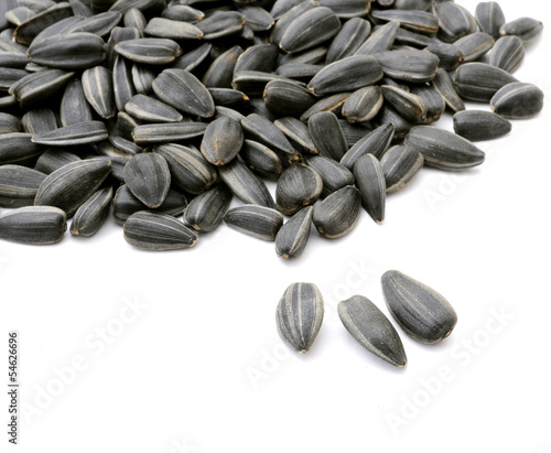 sunflower seeds isolated