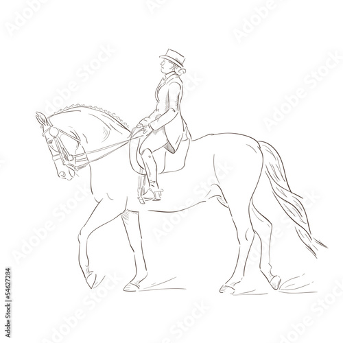 Fototapeta Naklejka Na Ścianę i Meble -  Dressage horse, vector sketch