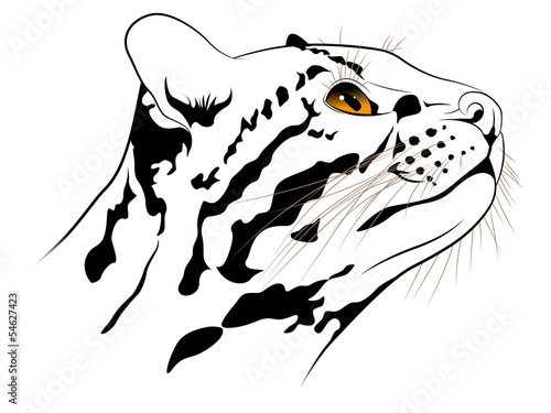 The abstract image of a ocelot executed in the form of a tattoo photo