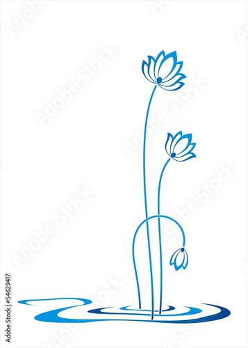 Fototapeta Naklejka Na Ścianę i Meble -  water lilies, wedding card design, India