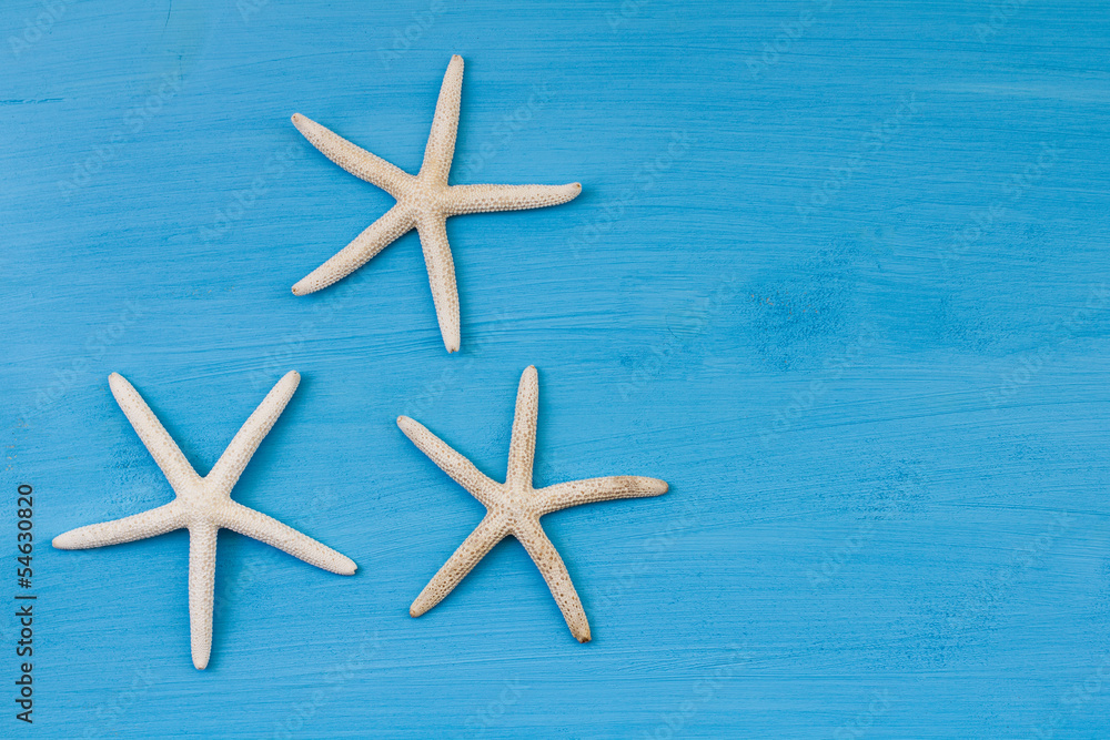 Stelle marine Stelle marine