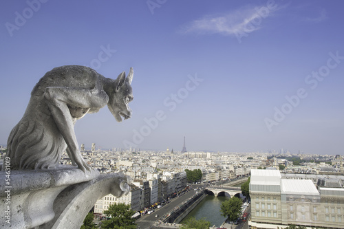 Fotografija gargoyle - Notre Dame - Paris France