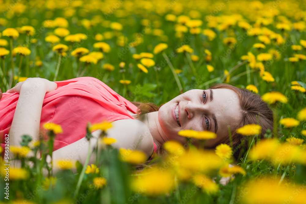 beautiful girl lying on the field of dandelions beautiful girl lying on the field of dandelions