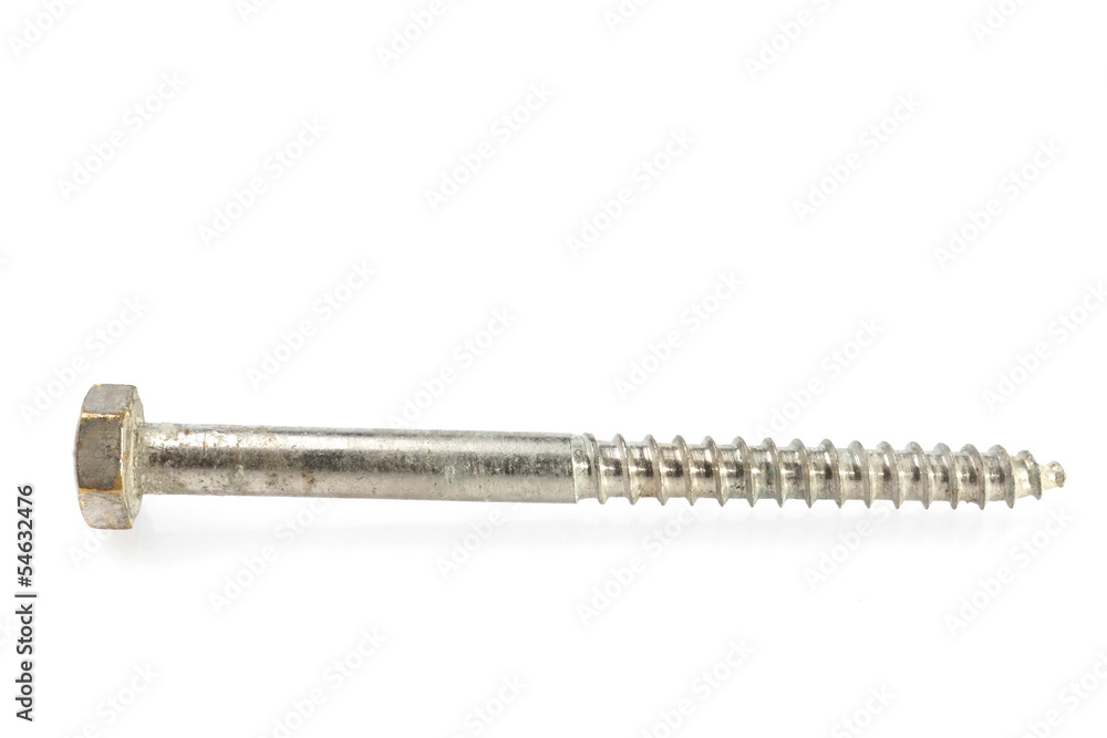 Screw Screw