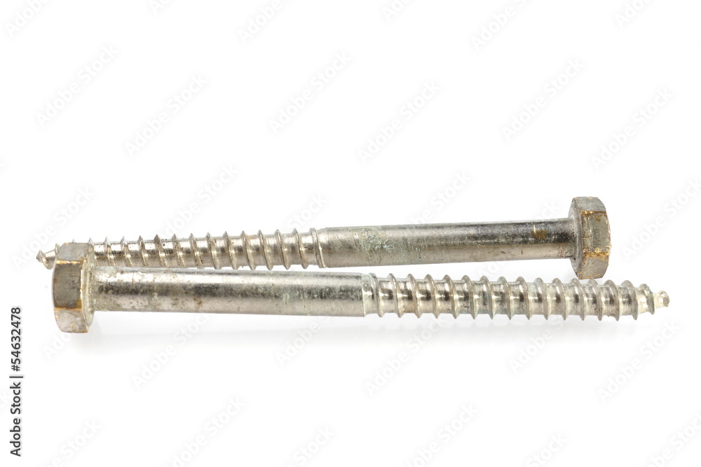 Screw Screw