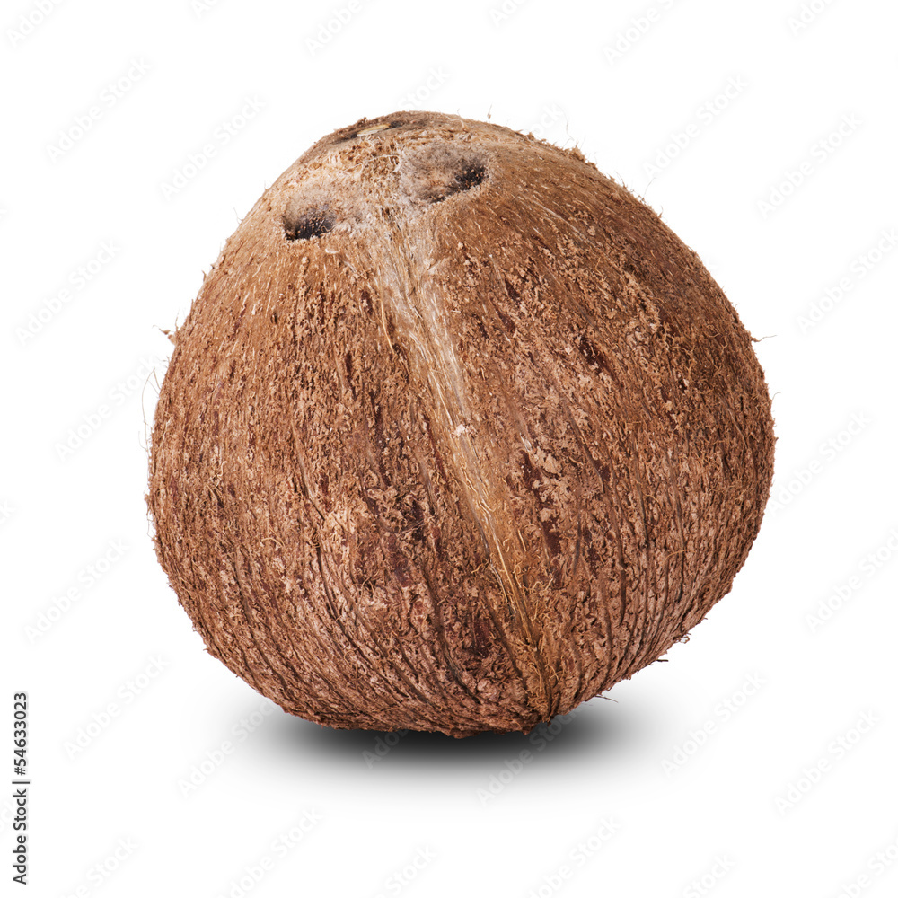 Coconut Coconut