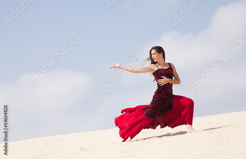 flamenco in the dunes