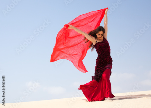 flamenco in the dunes