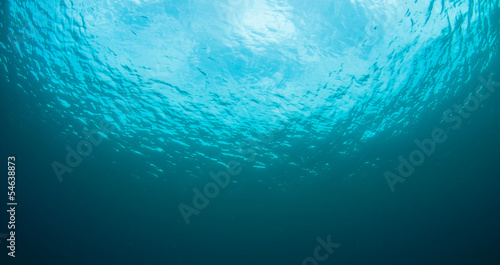 What Underwater landscape looks like.