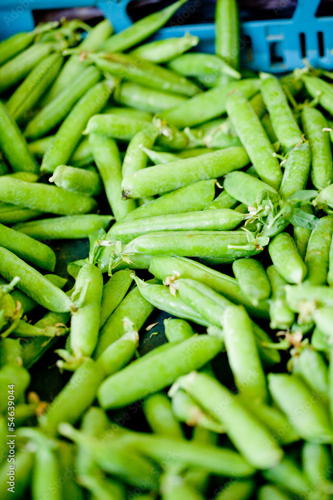 frische grüne bohne im sommer auf dem markt frische grüne bohne im sommer auf dem markt