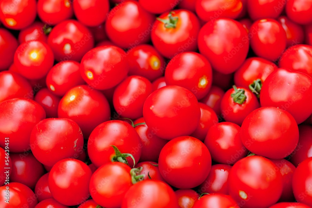frische gesunde rote tomaten auf dem markt im sommer frische gesunde rote tomaten auf dem markt im sommer