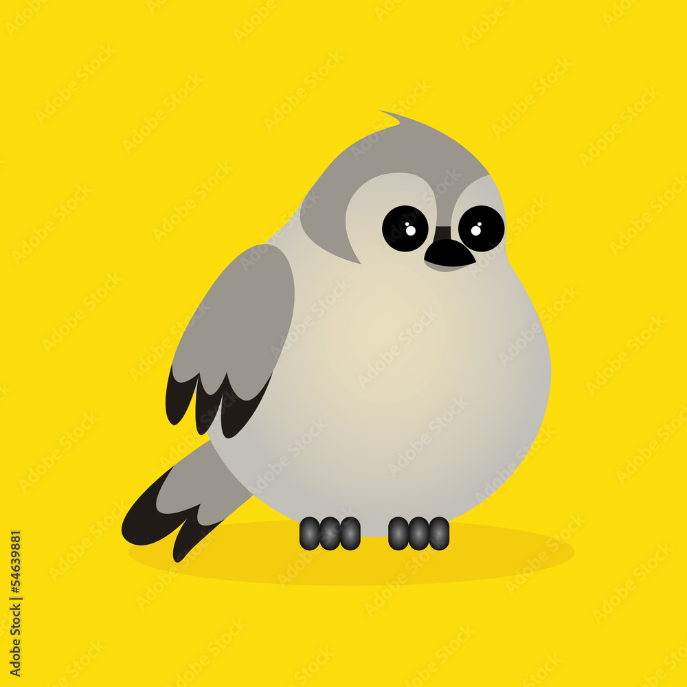 Obraz premium pigeon