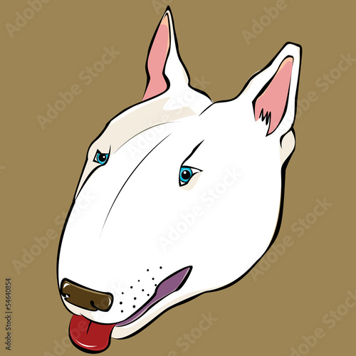 Bull terrier