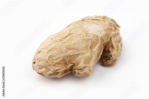 Ginger Root Isolated on white Background