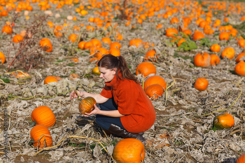 Young woman working on pumpkin field