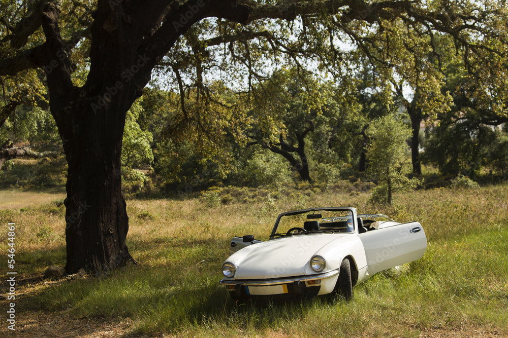View of a white convertible car on the countryside.
