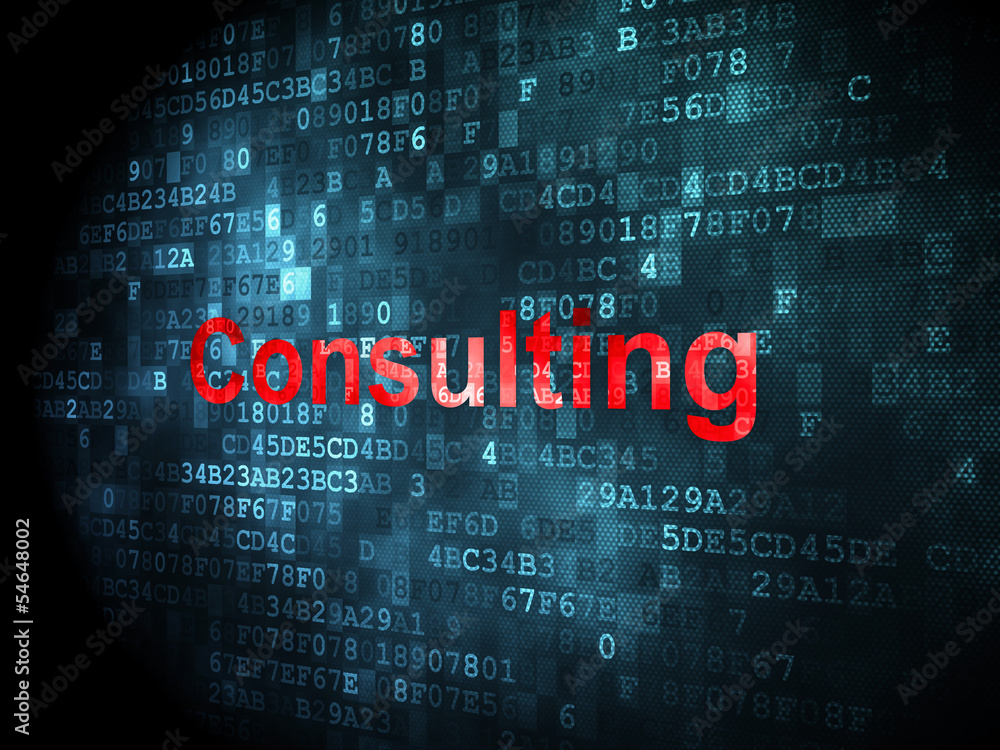 Fototapeta premium Business concept: Consulting on digital background