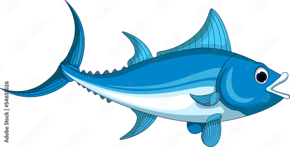 Illustration of an Atlantic bluefin tuna for you design Illustration of an Atlantic bluefin tuna for you design